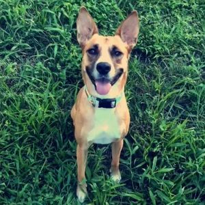 Meet your Posher, Courtney